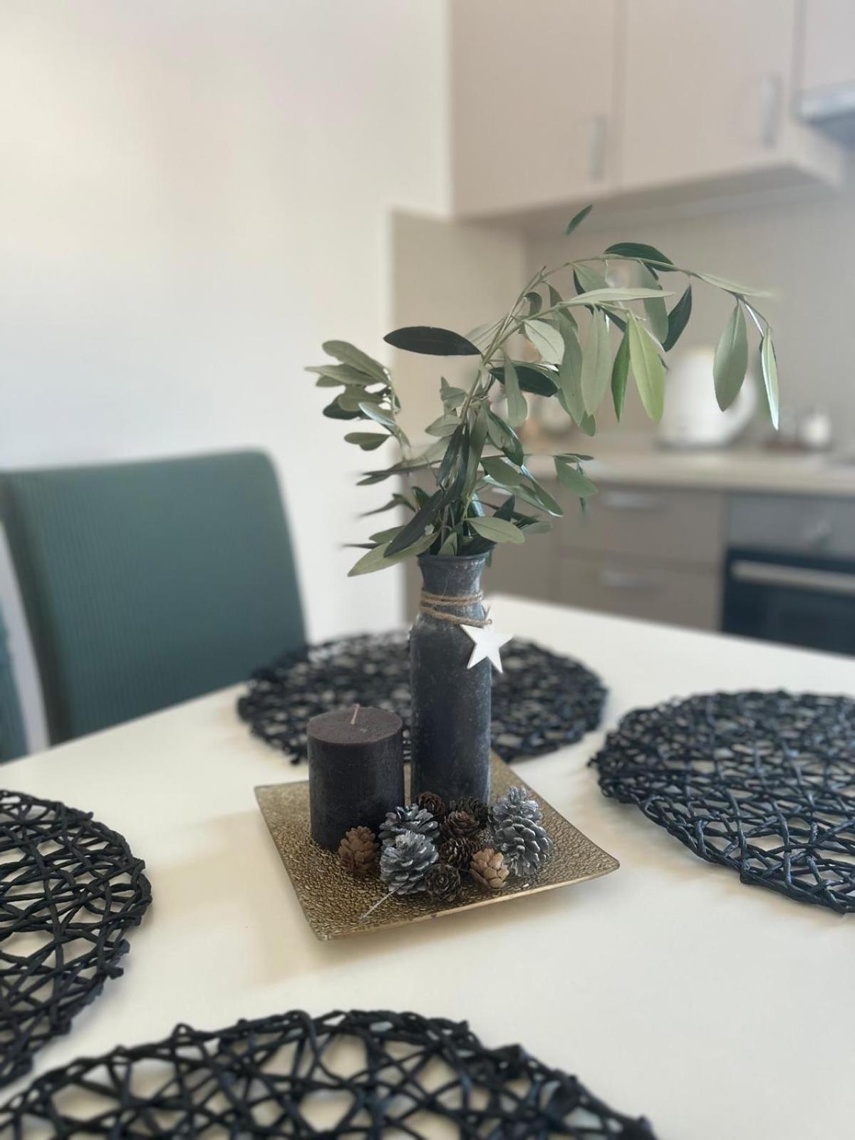 Lipa Apartman زادار المظهر الخارجي الصورة