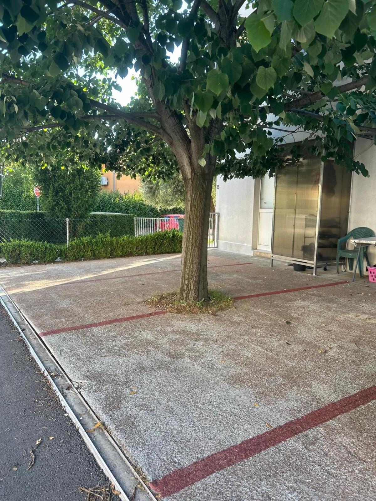 Lipa Apartman زادار المظهر الخارجي الصورة